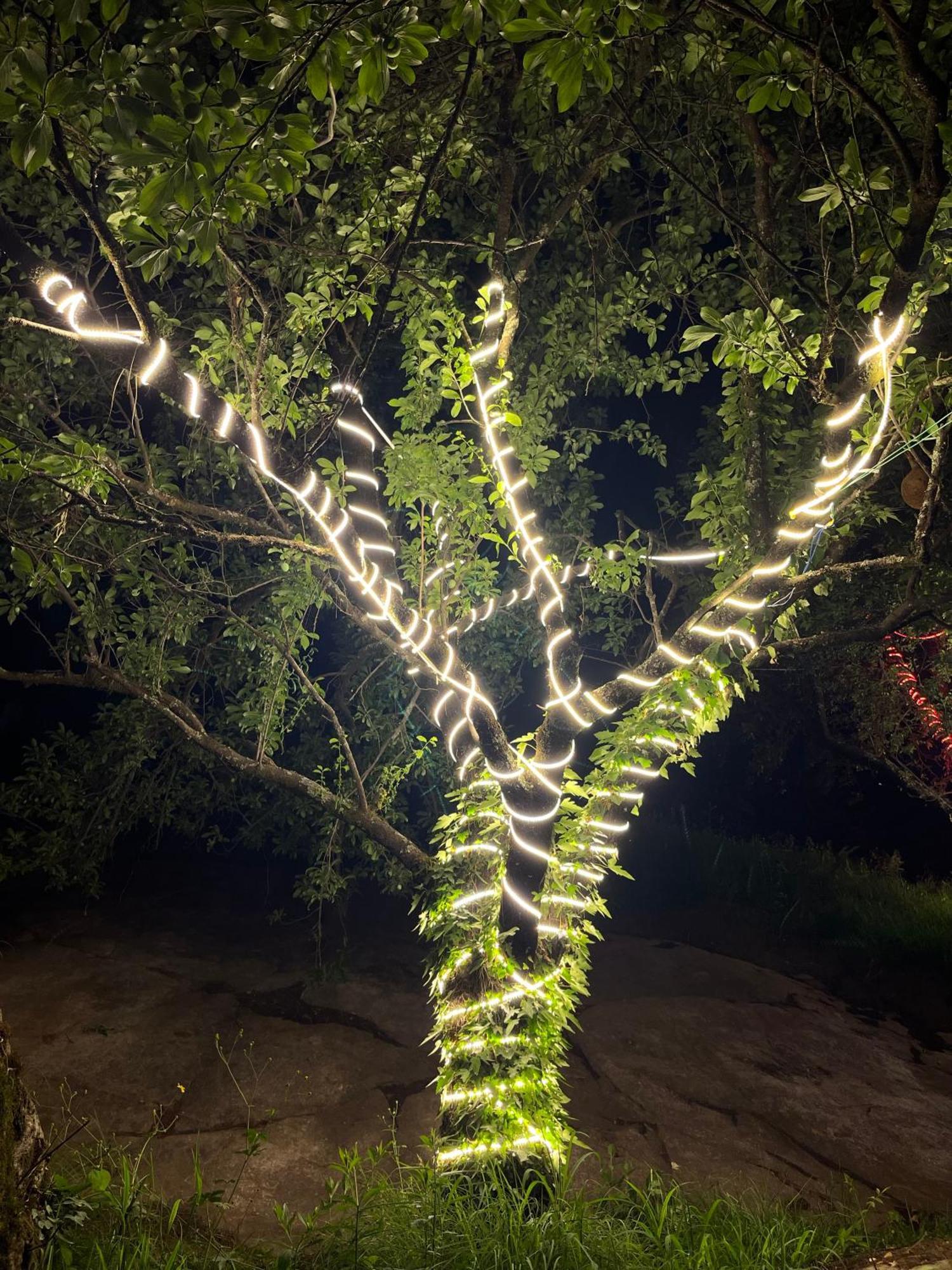 Ahava Kasol Riverside Cafe And Cottages Esterno foto